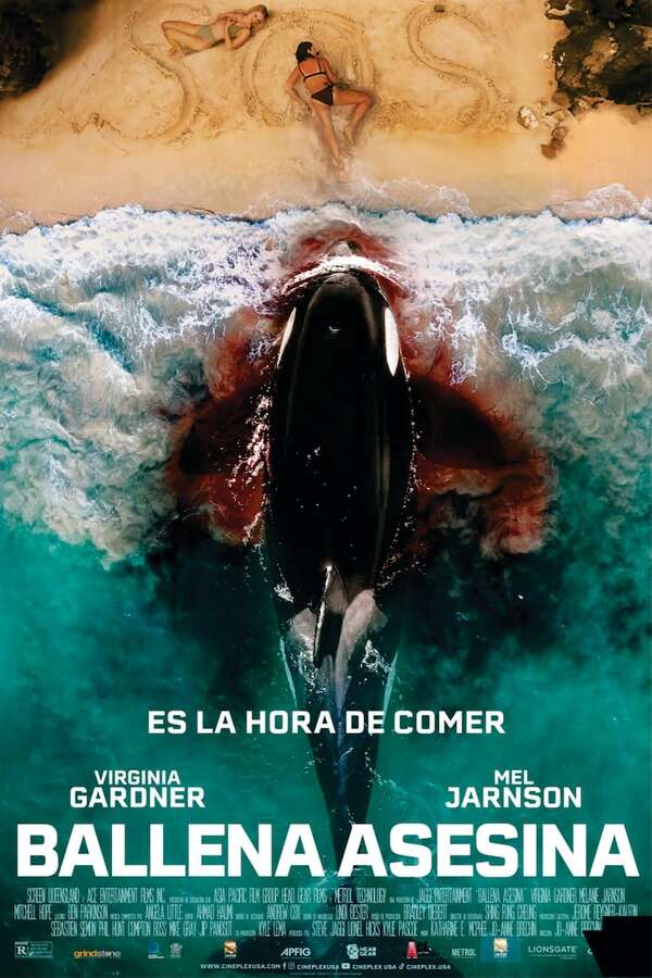 Ballena asesina - Cine y TV - ABC Color