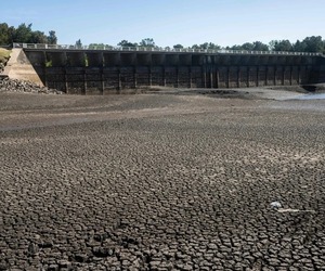 Gobierno uruguayo amplió por 90 días emergencia agropecuaria por déficit hídrico