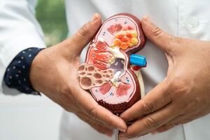 Hoy se celebra el Día Mundial del Riñón