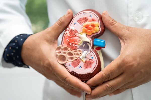 Hoy se celebra el Día Mundial del Riñón