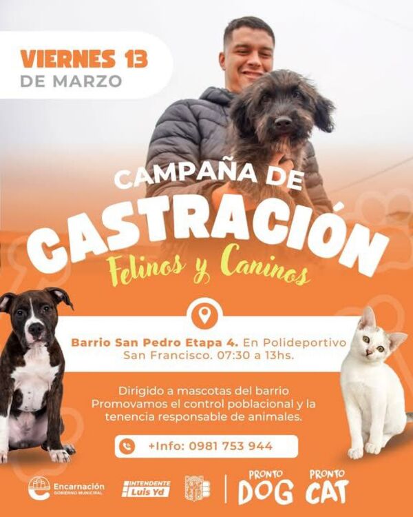 Realizarán jornada gratuita de castración de mascotas en el barrio San Pedro