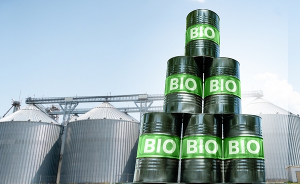 Independencia energética para reducir la presión sobre el agro