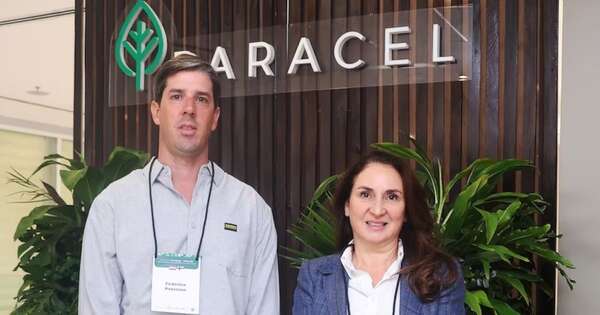 La Nación / Ecosistema de inversiones trasciende sector forestal