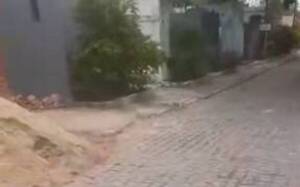 ¡Che Dios! ¿Profanaron la tumba de un angelito?