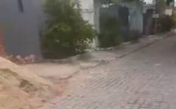 ¡Che Dios! ¿Profanaron la tumba de un angelito?