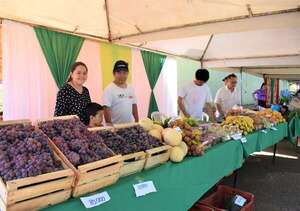 El 66% de las 578 cooperativas activas corresponde a las de menor tamaño - Economía - ABC Color
