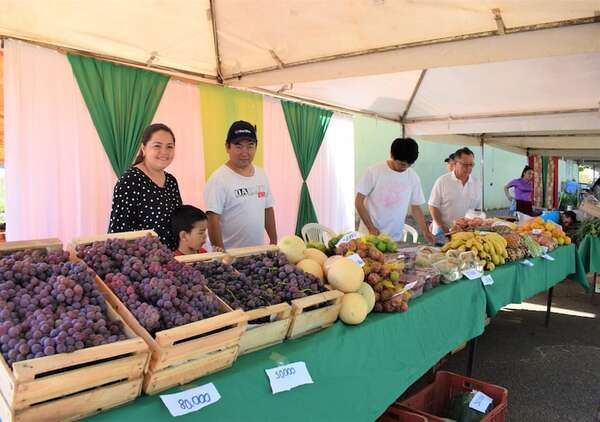 El 66% de las 578 cooperativas activas corresponde a las de menor tamaño - Economía - ABC Color
