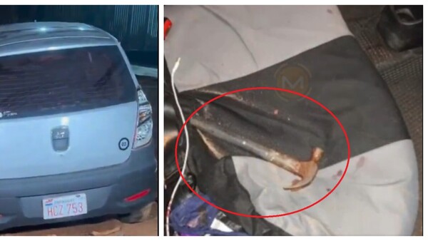 Ladrón golpeó con martillo a conductor de plataforma y después pidió que le auxilien