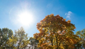 Anuncian viernes con ambiente cálido a caluroso - ADN Digital