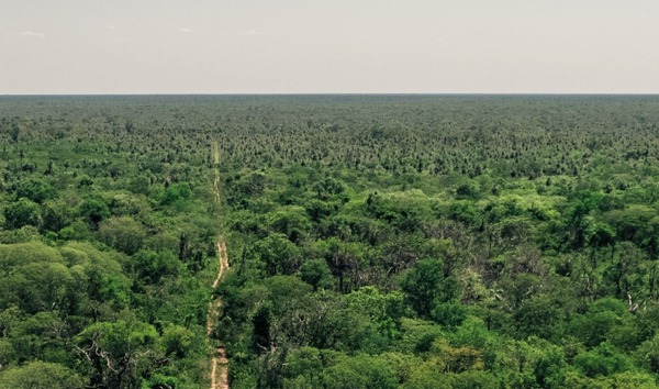 Instalan primera parcela de monitoreo de biodiversidad en el Monumento Natural Chovoreca