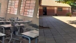 Abejas atacan y pican a alumnos en un colegio de Itauguá