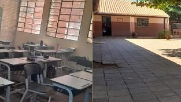 Abejas atacan y pican a alumnos en un colegio de Itauguá