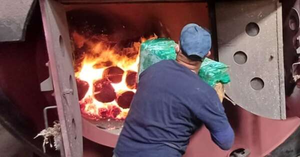 Diario HOY | Incineran más de una tonelada de marihuana incautada en Ñeembucú