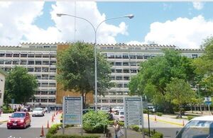 El IPS destinará USD 6,8 millones para jardinería en todas sus sedes - Concepción al Día