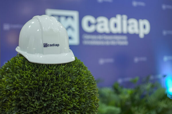 Lanzan la Cámara de Desarrolladores Inmobiliarios del Alto Paraná (CADIAP) - Amigo Camionero