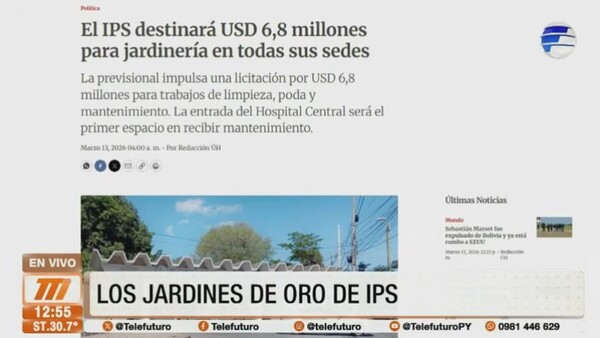 Escándalo en IPS: gastarán USD 6,8 millones en jardinería