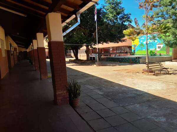 AUDIO. Itauguá: enjambre de avispas ataca a estudiantes y obliga a suspender clases en dos instituciones - Ancho Perfil - ABC Color