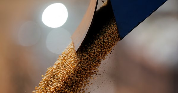 Guerra en Medio Oriente impulsa precios de granos y genera tensión en el comercio mundial