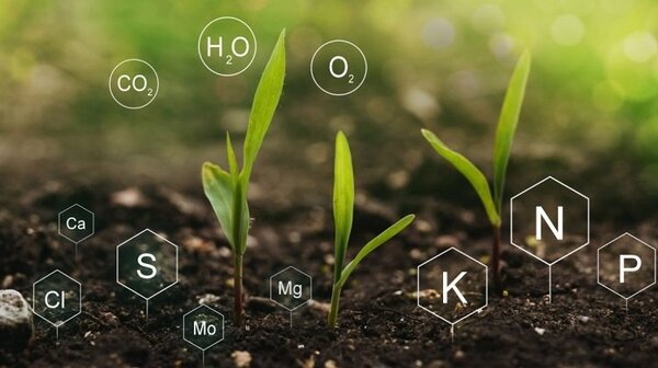 Revolución verde con planta de fertilizantes e inversión de US$ 75 millones