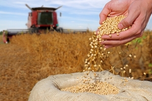 Complejo sojero generó USD 784 millones en divisas en el primer bimestre de 2026