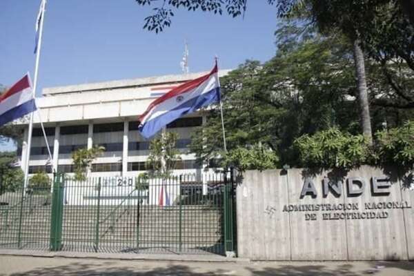 ANDE “destraba” en Contrataciones cuestionada licitación para limpieza - Política - ABC Color