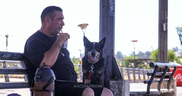 Diario HOY | Día soleado hasta hoy, lluvias desde mañana hasta el miércoles