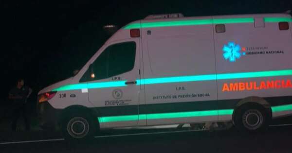 La Nación / Misiones: vaca suelta provocó dos accidentes sobre ruta PY01