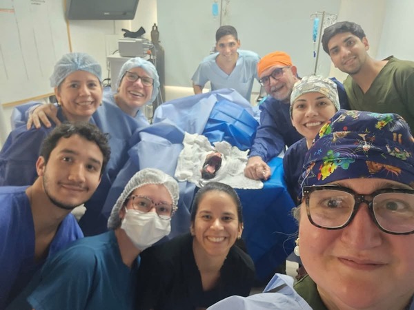 Canela comienza una nueva vida tras recibir una prótesis mandibular