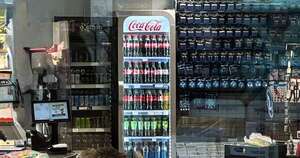 La Nación / Un jabalí irrumpió sorpresivamente en un shopping de Berlín