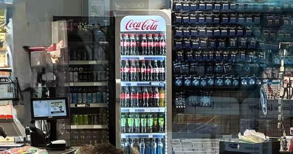 La Nación / Un jabalí irrumpió sorpresivamente en un shopping de Berlín