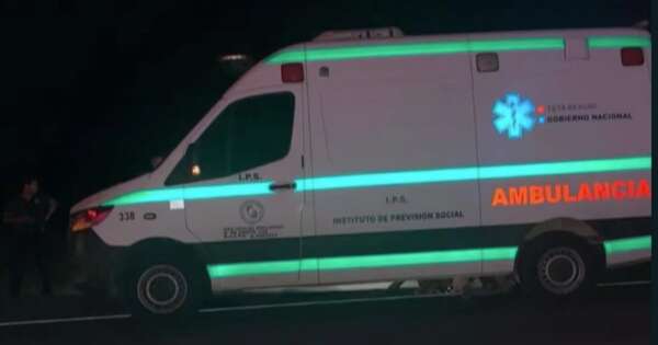 La Nación / Vaca suelta causó dos choques en ruta PY01