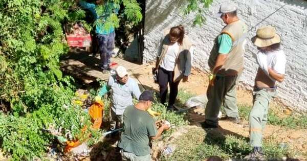 La Nación / Aumentan notificaciones de brotes activos de dengue