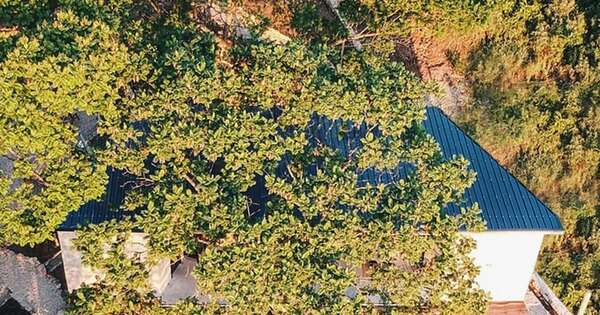 Lujo en su expresión más natural