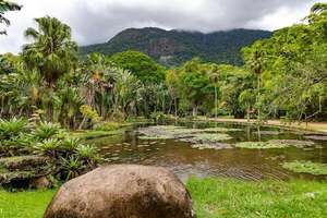 Jardín Botánico de Río de Janeiro: donde un experimento imperial se volvió ciencia viva - Ciencia - ABC Color