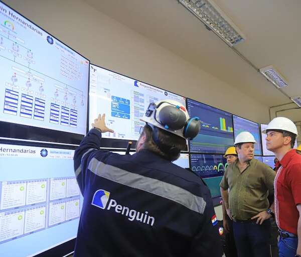 ANDE: 41 empresas consumen el 13,5% de nuestra energía de Itaipú - Economía - ABC Color