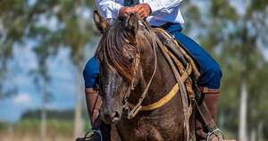 La Nación / Caballos criollos: competencias y capacitaciones marcarán el impulso de la raza este año