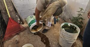 La Nación / Logran exitosa jornada de minga ambiental y asistencia comunitaria en Limpio