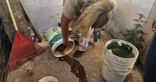 La Nación / Logran exitosa jornada de minga ambiental y asistencia comunitaria en Limpio