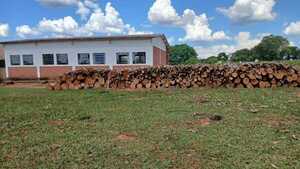 Indígenas denuncian tala masiva en territorio ancestral en Amambay