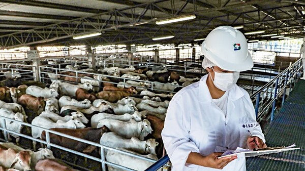 Faena repunta en febrero, pero sigue baja
