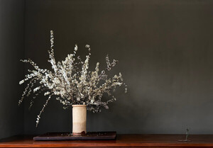 Conferencia sobre bonsái y jardín japonés a cargo de Luis Vallejo en la FADA