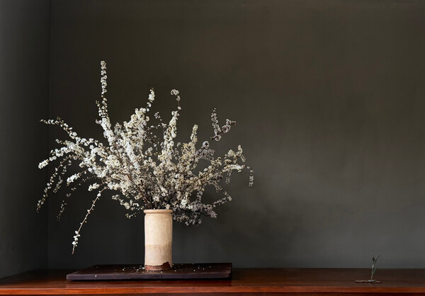 Conferencia sobre bonsái y jardín japonés a cargo de Luis Vallejo en la FADA