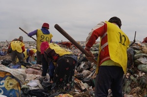 Cateura: hallan nutrientes que reducen daño en el ADN