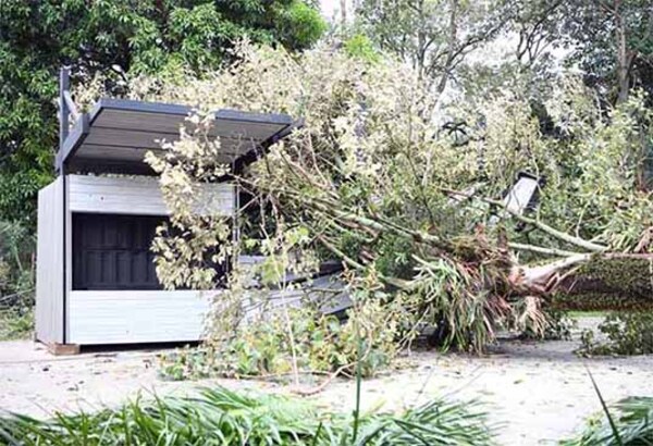 Temporal afectó parte de la infraestructura de Tekotopa de Itaipú y comenzaron los trabajos de restauración | DIARIO PRIMERA PLANA