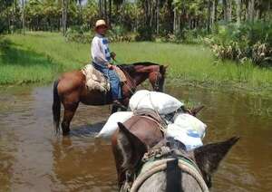 Karanda’yty: zona del olvido estatal en el Alto Paraguay - Noticias del Chaco - ABC Color