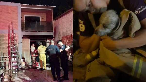Rescataron a una caniche de un incendio y una bombera le dio su abrigo