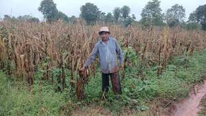 Las lluvias benefician a la producción frutihortícola, pero labriegos piden asistencia técnica del Gobierno - Nacionales - ABC Color