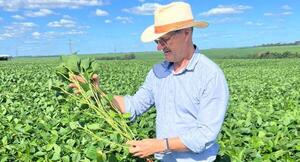 Soja: optimismo por importante campaña que reactiva la economía en Canindeyú
