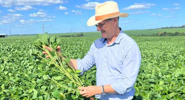 Soja: optimismo por importante campaña que reactiva la economía en Canindeyú