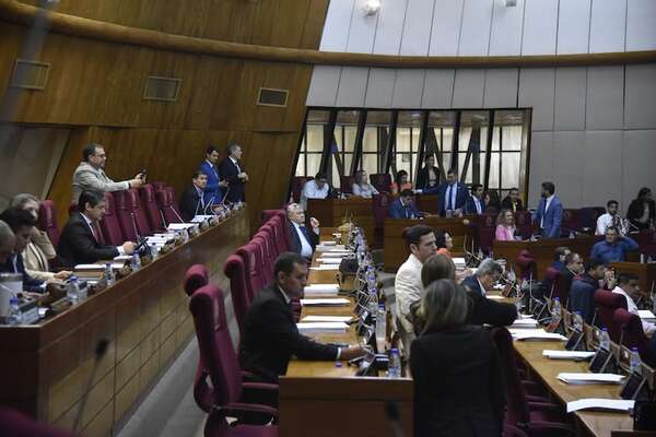 AUDIO: Diputados finiquitará mañana reforma de Caja Fiscal y adelantan reculada  - Periodísticamente - ABC Color